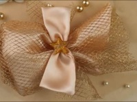 Wedding bag Ent5