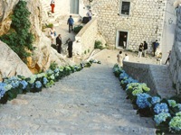 Wedding flowers