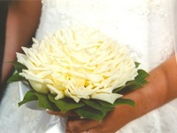 Wedding flowers